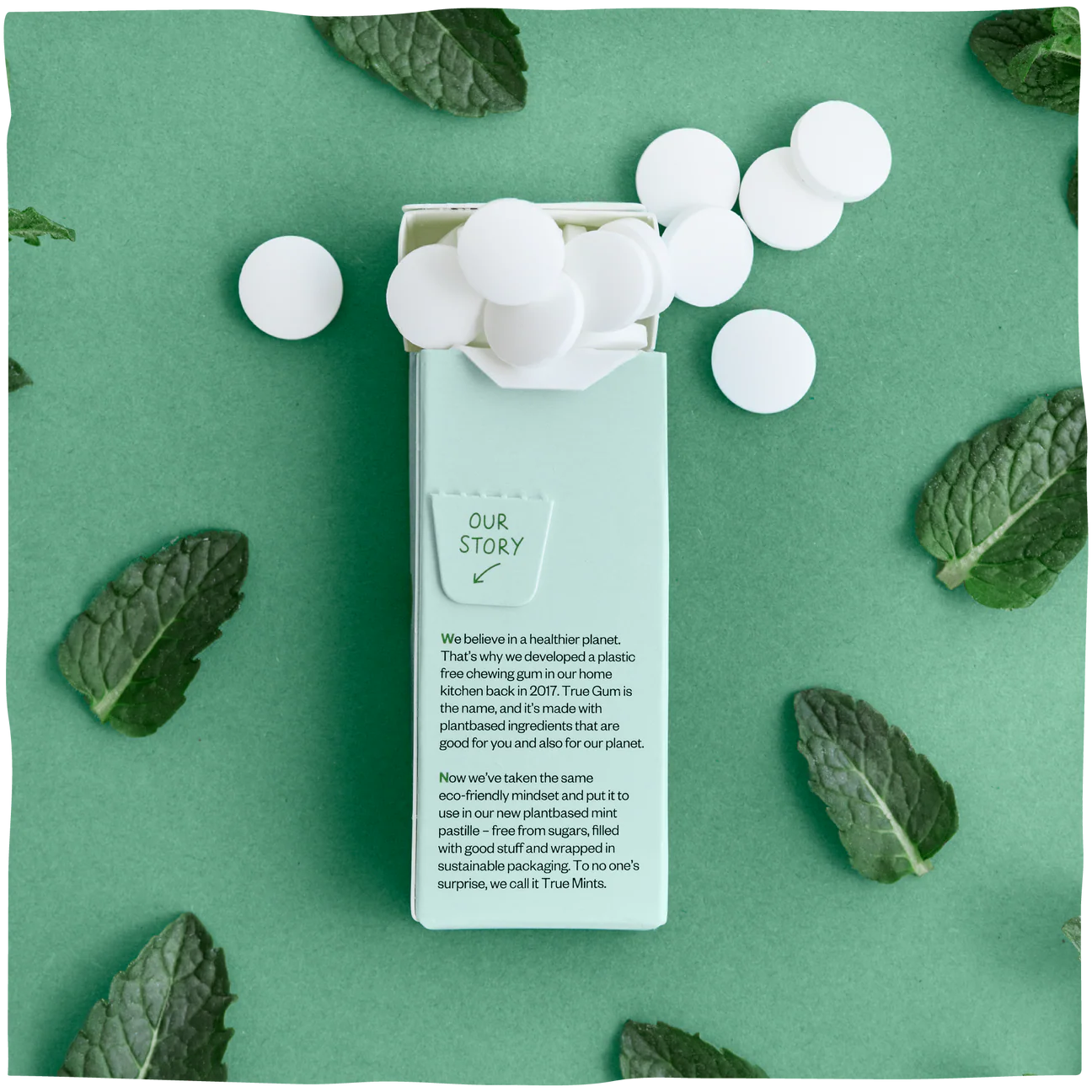 TRUE Mints Fresh Mint